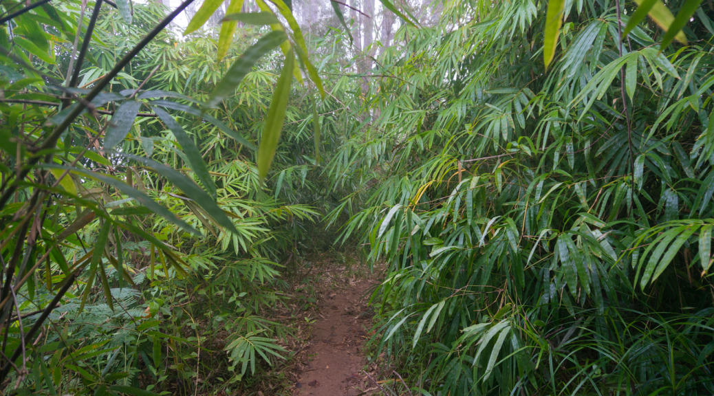 Trekking Luang Prabang