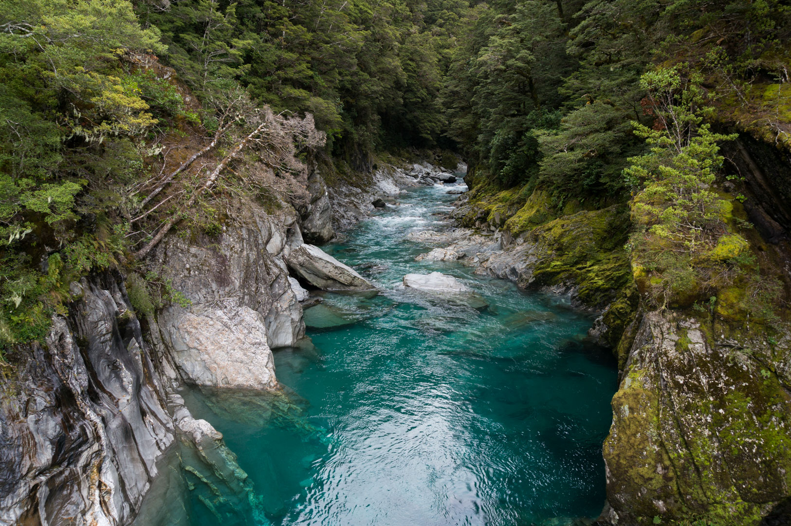 Blue Pools New Zealand