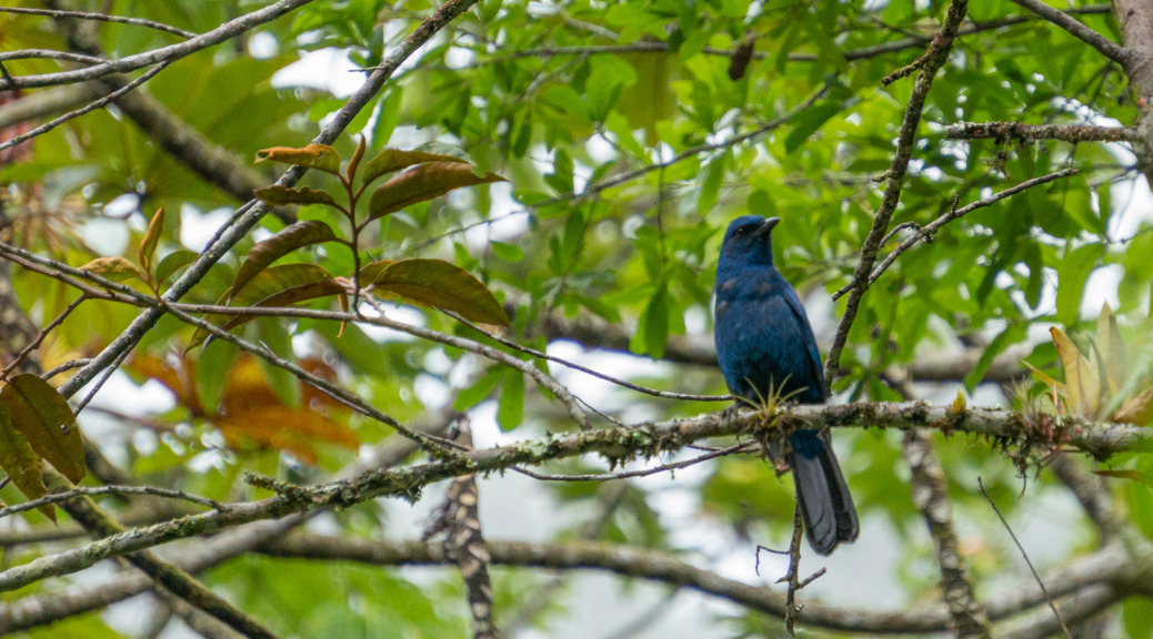 Biotopo de Quetzal